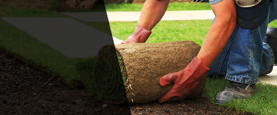 Rockford Landscapers
